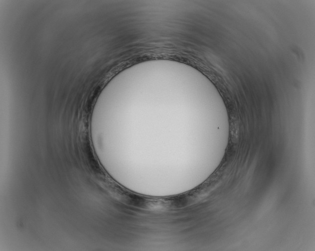 X0000112980226200908270925