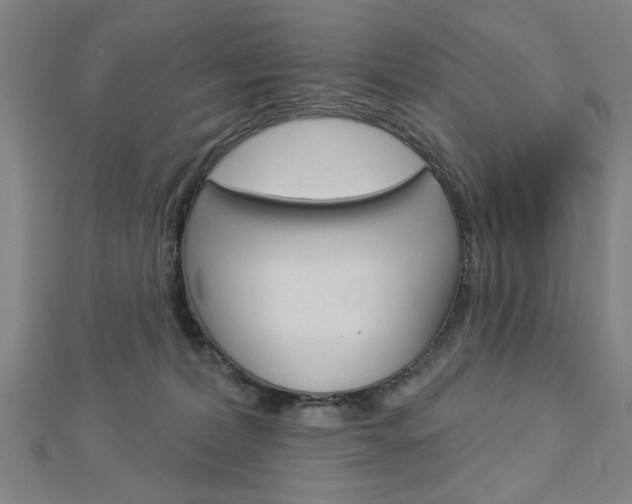 X0000112980228200908270925