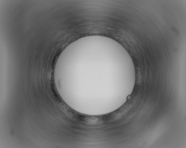 X0000112980230200908270925