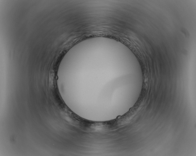 X0000112980231200908270925