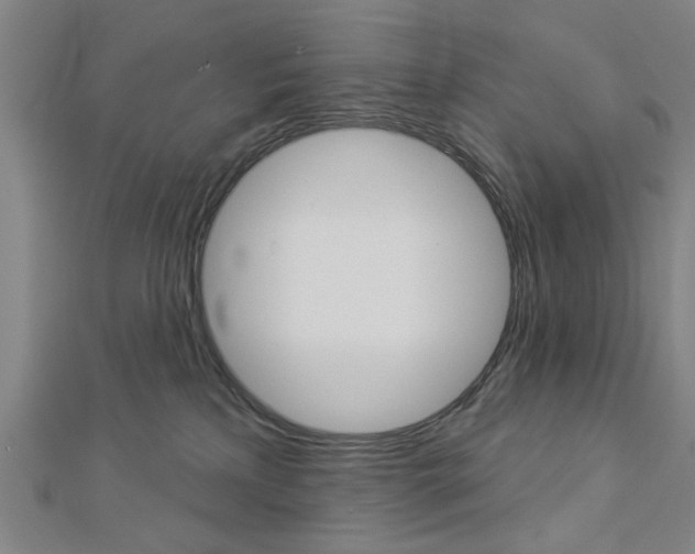 X0000112980233200908270925