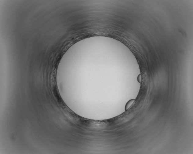 X0000112980234200908270925