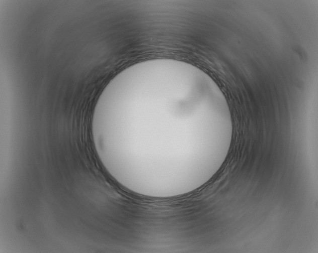 X0000112980235200908270925