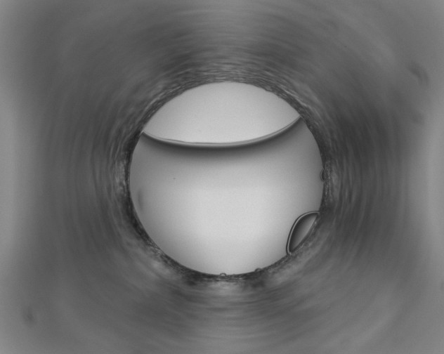 X0000112980236200908270925