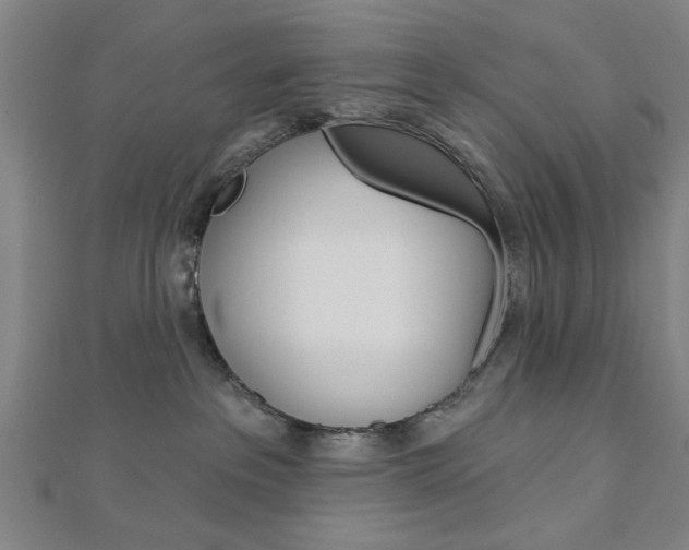 X0000112980237200908270925