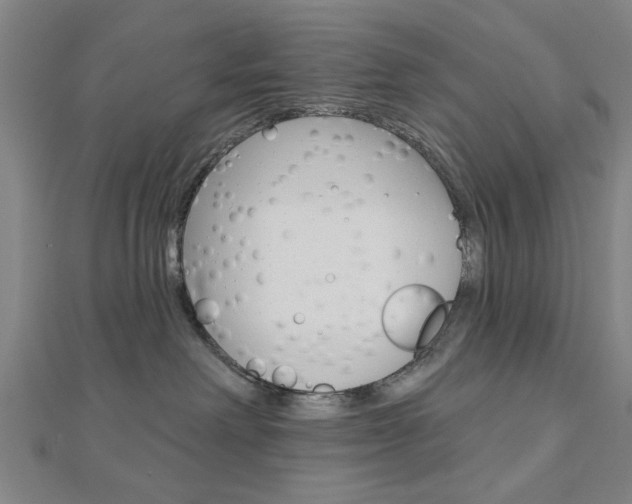 X0000112980238200908270925