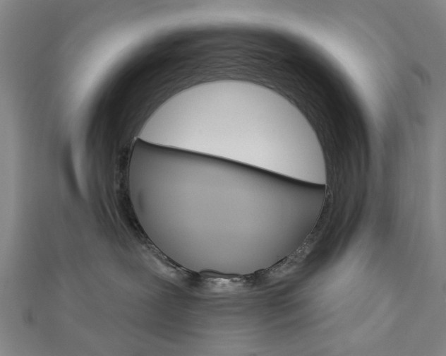 X0000112980239200908270925