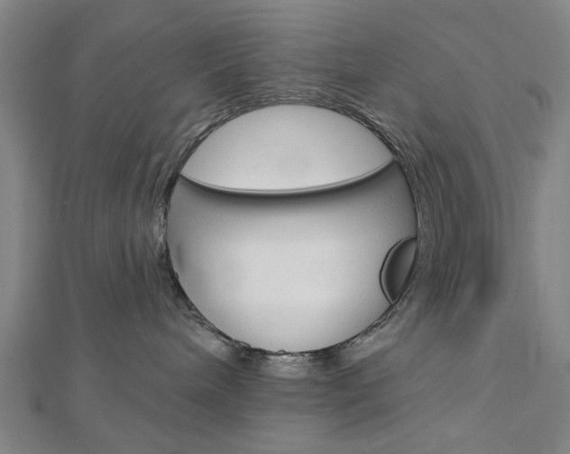 X0000112980240200908270925