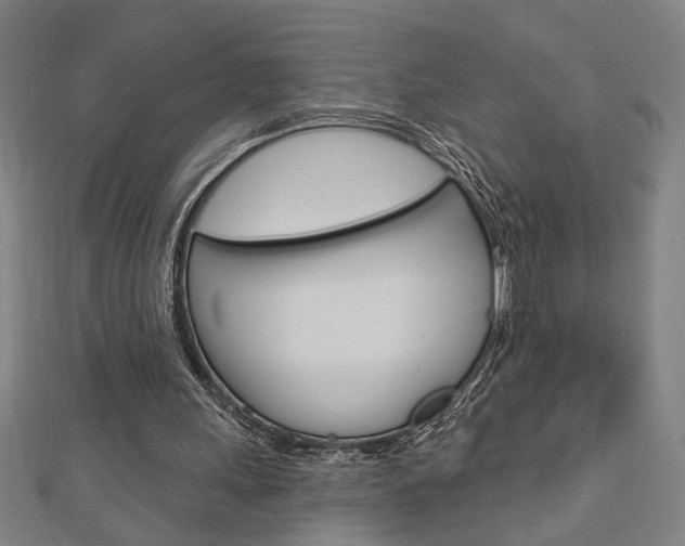 X0000112980243200908270924