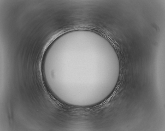 X0000112980244200908270924