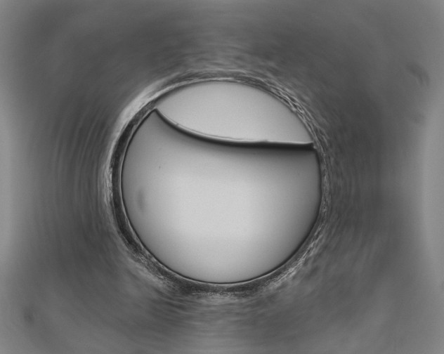 X0000112980246200908270924