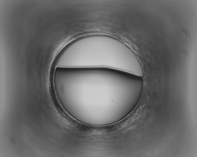 X0000112980248200908270924