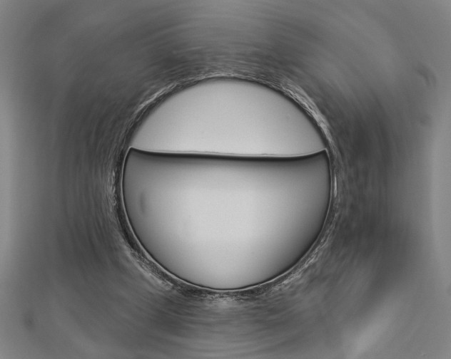 X0000112980249200908270924