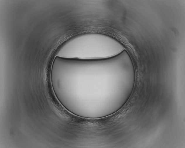 X0000112980250200908270924
