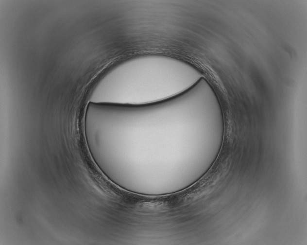 X0000112980251200908270924