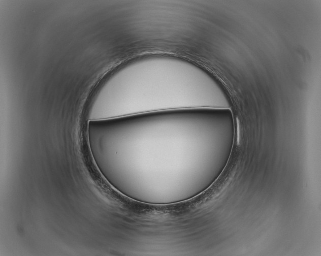 X0000112980252200908270924