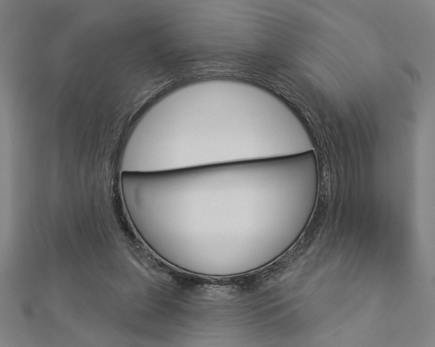 X0000112980255200908270924