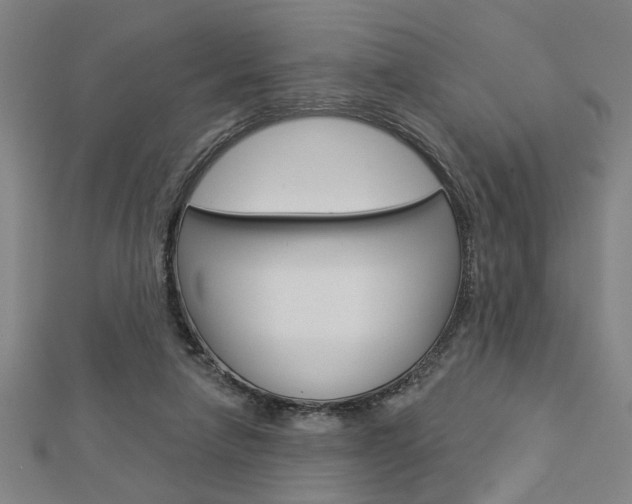 X0000112980258200908270924
