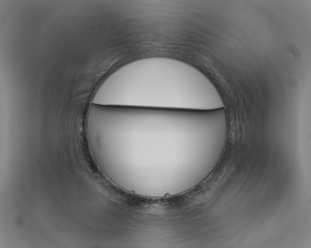 X0000112980259200908270924