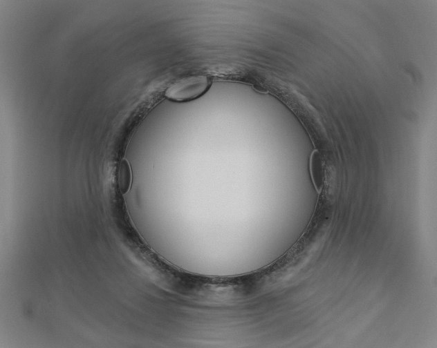 X0000112980260200908270924