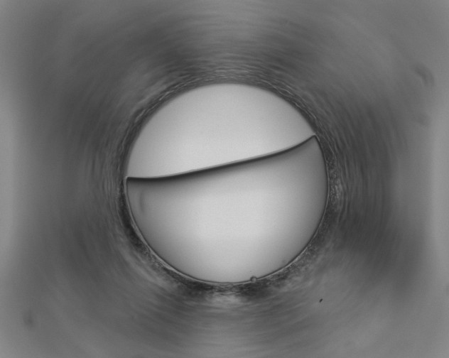 X0000112980262200908270924