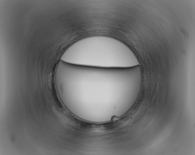 X0000112980263200908270924