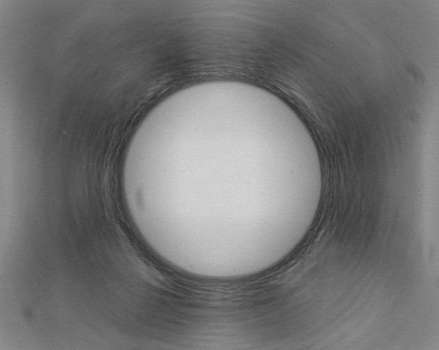 X0000112980264200908270925