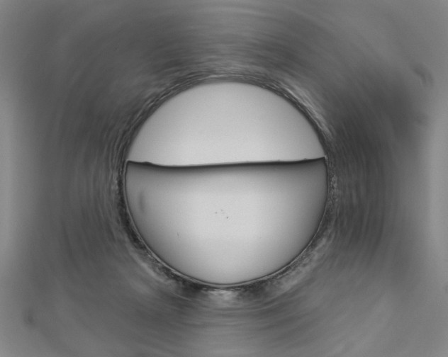 X0000112980265200908270925