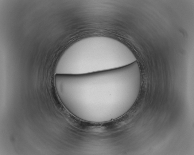 X0000112980266200908270925
