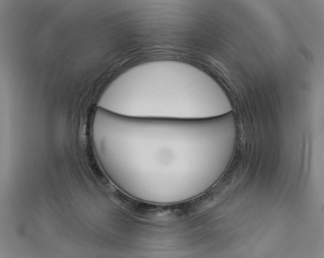X0000112980267200908270925