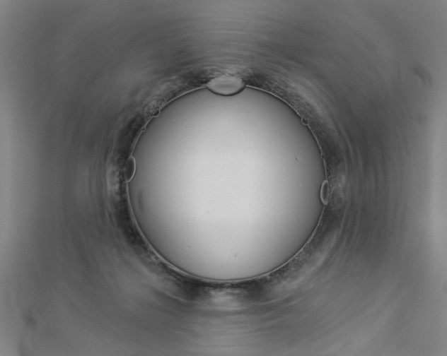 X0000112980268200908270925