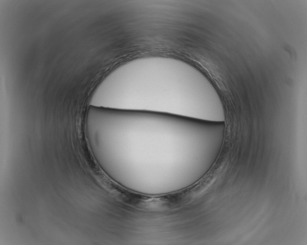 X0000112980269200908270925