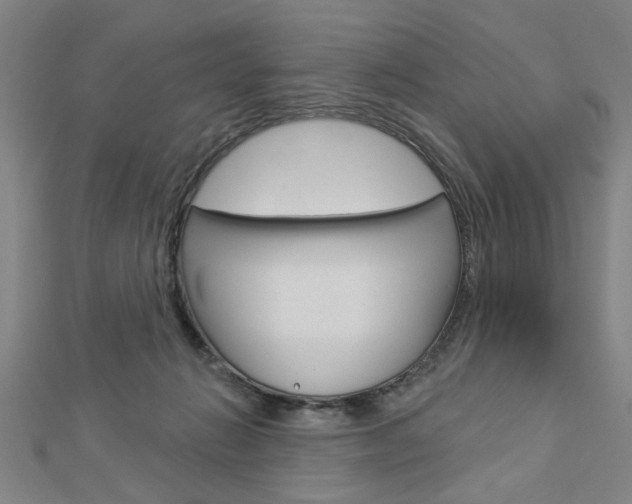 X0000112980270200908270925
