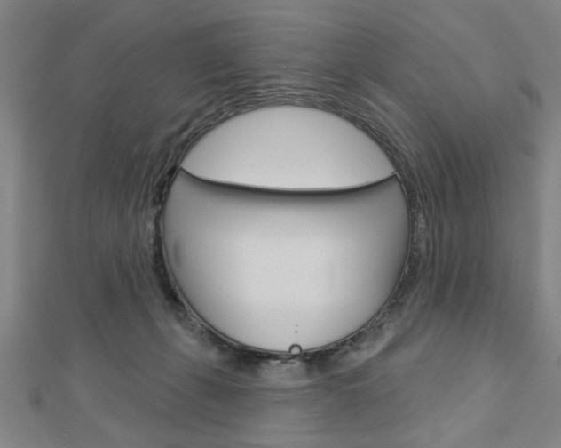 X0000112980271200908270925