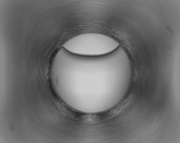 X0000112980273200908270925