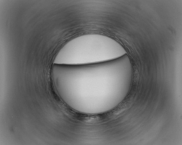 X0000112980274200908270925