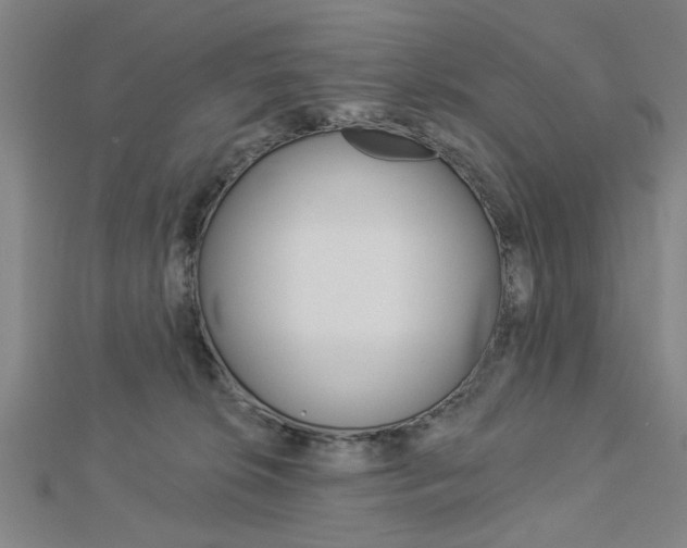 X0000112980276200908270925