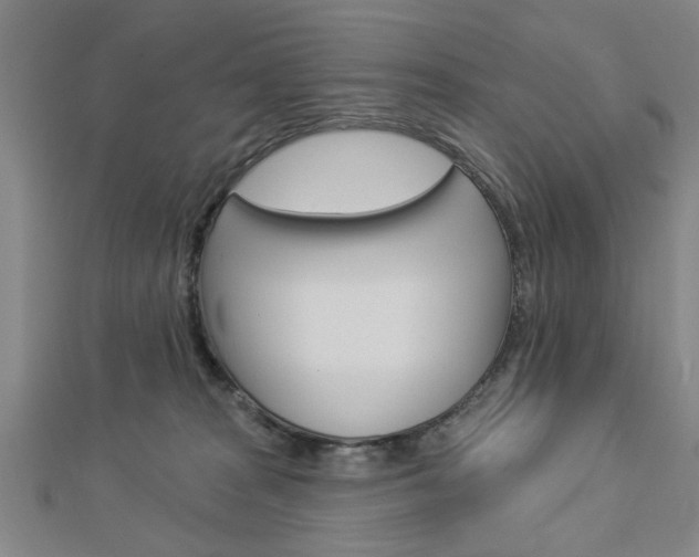 X0000112980277200908270925