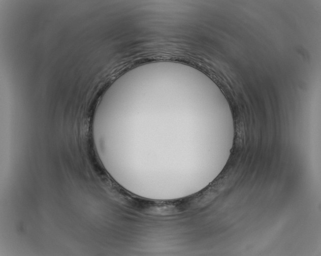 X0000112980278200908270925