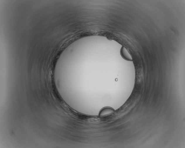 X0000112980279200908270925