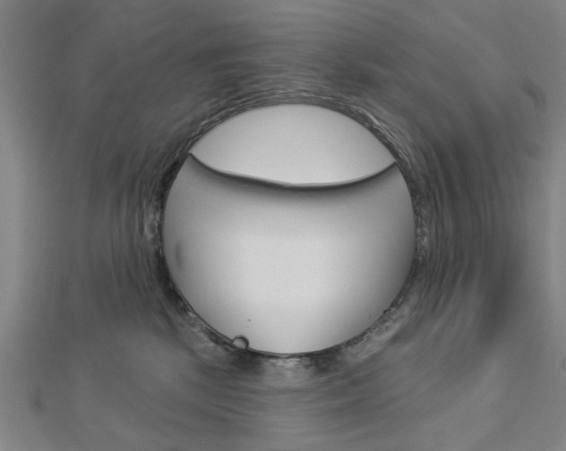 X0000112980281200908270925
