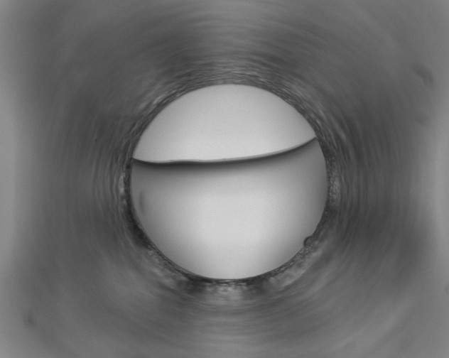 X0000112980282200908270925