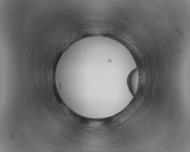 X0000112980283200908270925