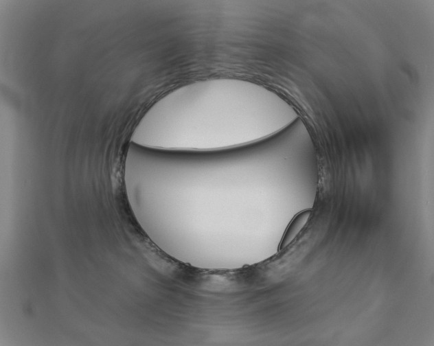 X0000112980285200908270925