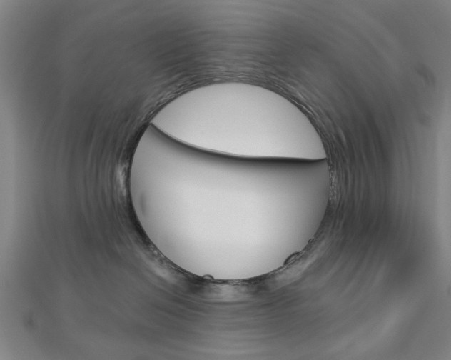 X0000112980286200908270925