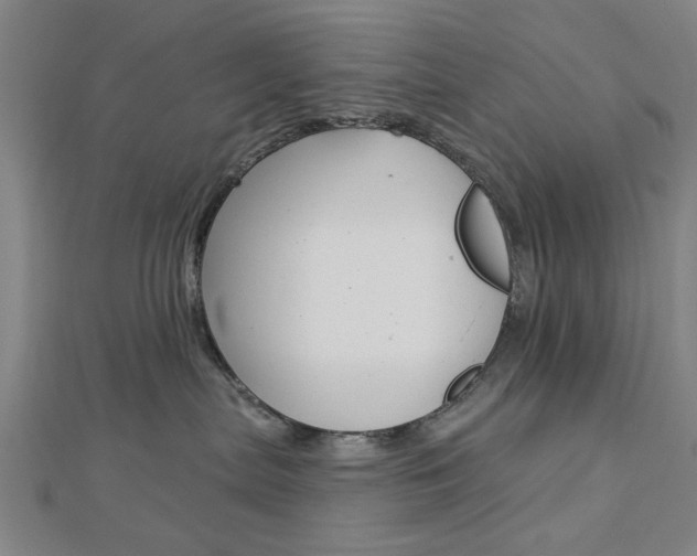 X0000112980287200908270925