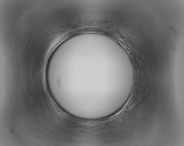 X0000112980293200908270924