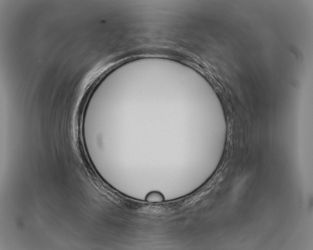 X0000112980294200908270924