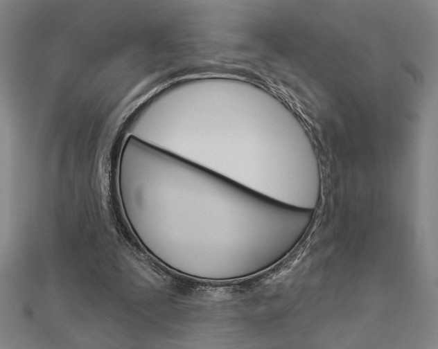 X0000112980295200908270924