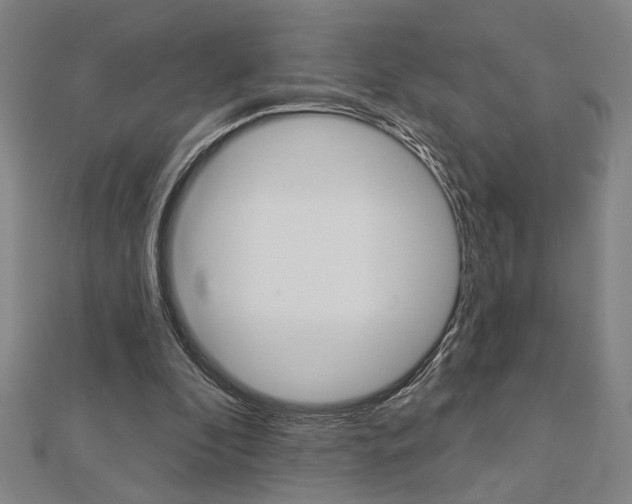 X0000112980296200908270924